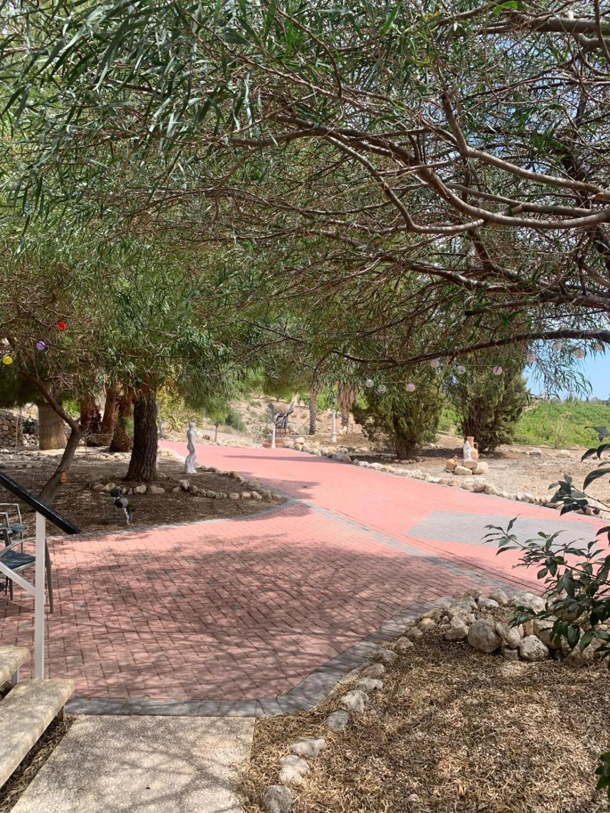 Casa Pajarera Διαμέρισμα Fortuna Εξωτερικό φωτογραφία